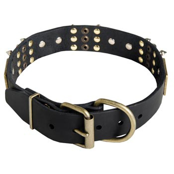 Studded Leather Amstaff Collar for Walking