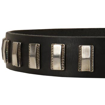 Stylish Leather Collar with Vintage Plates for Amstaff