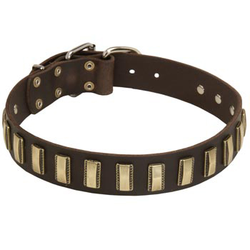 Leather Amstaff Collar Designer for Walking in Style