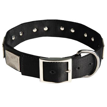 Designer Nylon Dog Collar Wide with Easy Release Buckle for   Amstaff