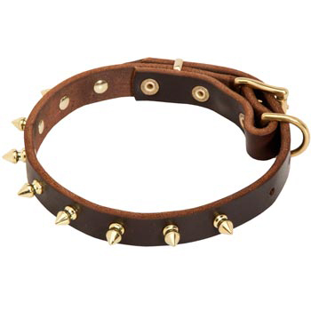 Leather Amstaff Collar with Brass Spikes