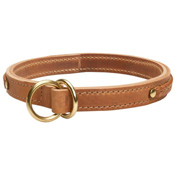  2 Ply Leather Choke Collar for Amstaff