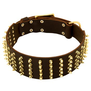 Fashionable Spiked Leather Amstaff Collar