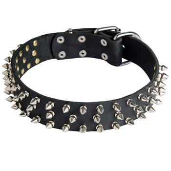 Leather Amstaff Collar with Spikes