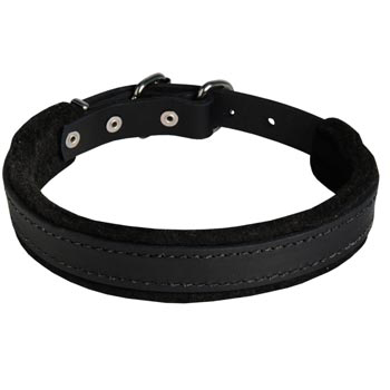 Amstaff Collar Leather for Dog Protection Attack Training
