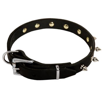 Amstaff Dog Leather Collar Steel Nickel Plated Spikes