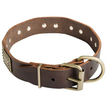 War-Style Leather Collar for Amstaff