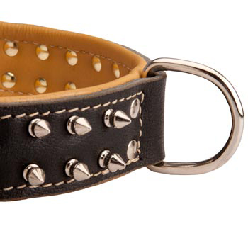 Padded Leather Amstaff Collar Spiked Adjustable for Training