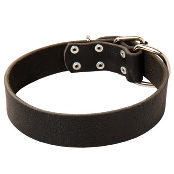 Unbelievable Amstaff Strict Style Leather Dog  Collar