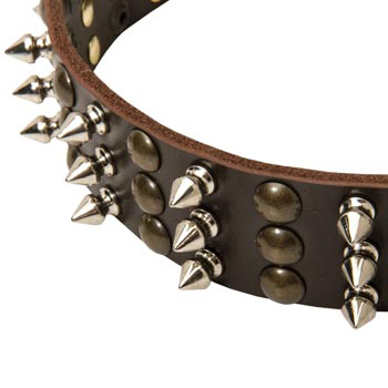 3 Rows of Spikes and Studs Decorative Amstaff  Leather Collar
