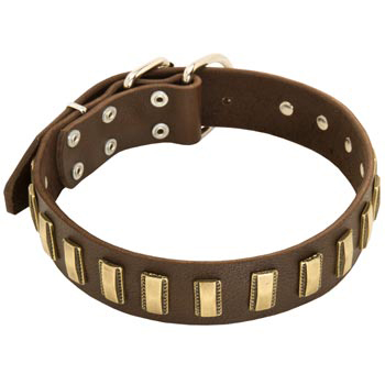 Leather Dog Collar with Adornment for Amstaff