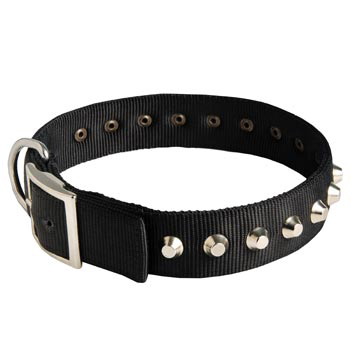 Nylon Buckle Dog Collar Wide with Studs for   Amstaff