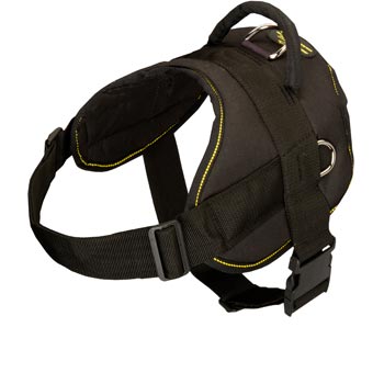 Nylon All Weather Amstaff Harness for Service Dogs