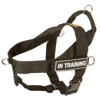 Amstaff Nylon Harness with ID Patches