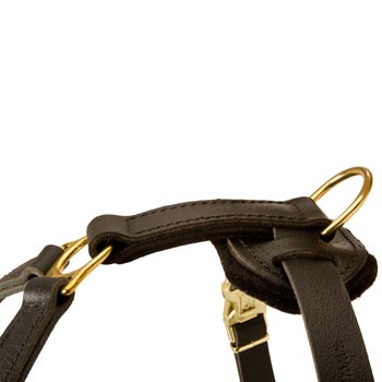 Corrosion Resistant D-ring of Amstaff Harness