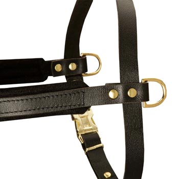 Training Pulling Amstaff Harness with Sewn-In Side D-Rings