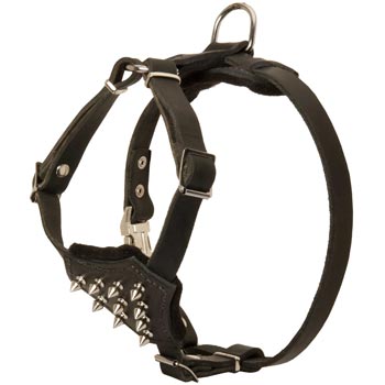 Amstaff Leather Puppy Harness with Attractive Nickel Decoration