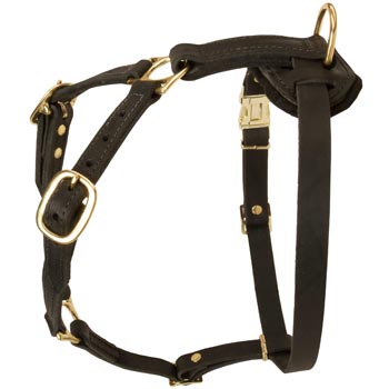 Tracking Leather Dog Harness for Amstaff
