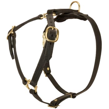 Leather Amstaff Harness Light Weight Y-Shaped for Tracking Dog