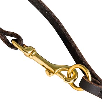 Leather Amstaff Leash with Brass Hardware for Dog Control
