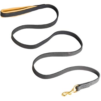 Padded Leather Amstaff Leash for Everyday Walking