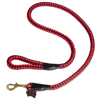 Amstaff Red Nylon Leash for Walking and Training