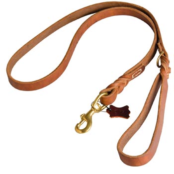 Canine Leather Leash for Amstaff