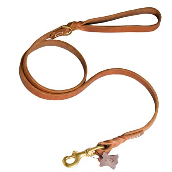 Training Leather Amstaff Leash with Handle