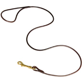 Leather Canine Leash for Amstaff Presentation at Dog Shows