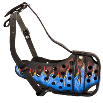 Amstaff Muzzle for Walking and Training