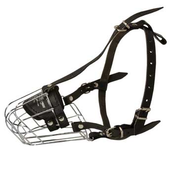 Wire Cage Muzzle for Training Amstaff Working Dogs