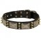 Amstaff Spiked Leather Collar with Nickel Plates
