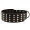 Extra Wide 4 Rows Studded Leather Amstaff Collar
