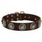 Leather Amstaff Collar with Blue Stones for Stylish Walking