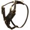 Padded Leather Amstaff Harness for Agitation Training
