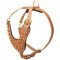 Brass Spiked Leather Amstaff Harness for Fashion Walking