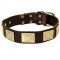 Handcrafted Leather Amstaff Collar With Vintage Massive Plates