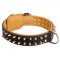 Spiked Amstaff Collar Padded with Nappa Leather