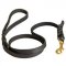 Handcrafted Braided Leather Amstaff Leash for Walking and Training