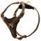 Tracking Leather Amstaff Harness With Y-Chest Plate