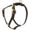 Y-Shaped Leather Amstaff Harness for Tracking and Training