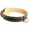 Padded Leather Amstaff Collar