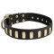 Fancy Leather Amstaff Collar with Brass Plates