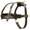 Leather Amstaff Harness for Tracking and Pulling