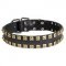 2 Rows Brass Studded Leather Amstaff Collar for Walking and Training