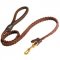 Amstaff Leather Braided Dog Leash
