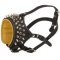 Royal Spiked and Studded Leather Amstaff Muzzle