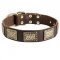 Leather Amstaff Collar with Massive Brass Plates