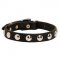 Beautiful Leather Amstaff Collar Decorated with Half-Ball Studs
