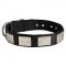 Nylon Amstaff Collar Massive Nickel Plates